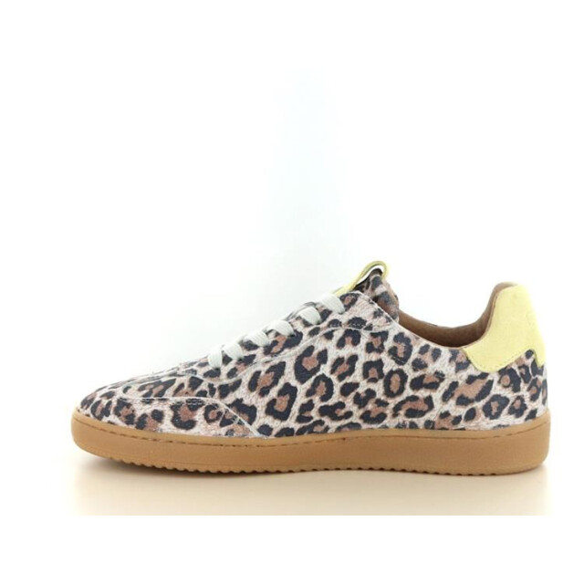 DWRS Label Poona leopard Poona Leopard large