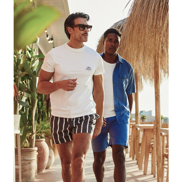 Blue Industry Robbies26-stripe swimshort brown RobbieS26-stripe BROWN large
