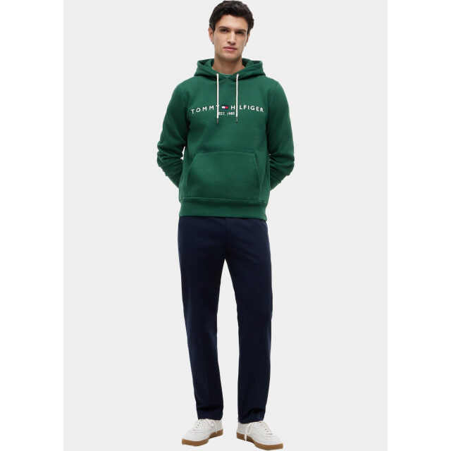 Tommy Hilfiger Hoodie heren tommy logo hoody mw0mw11599/l2n 209495 large