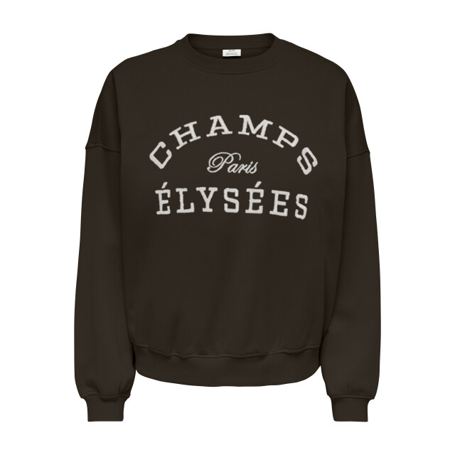 Jacqueline de Yong mesa life l/s o-nk emb sweat jrs 15370526 ganache champs elusees 06721.849.0003 large