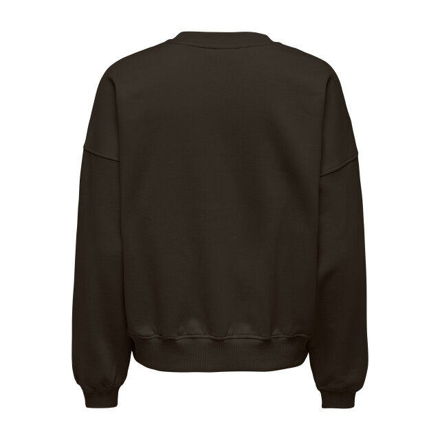 Jacqueline de Yong mesa life l/s o-nk emb sweat jrs 15370526 ganache champs elusees 06721.849.0003 large