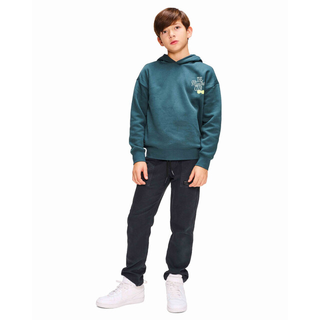 Retour Hoodie rjb-063-704 harvey Retour Jeans Hoodie RJB-063-704 Harvey large