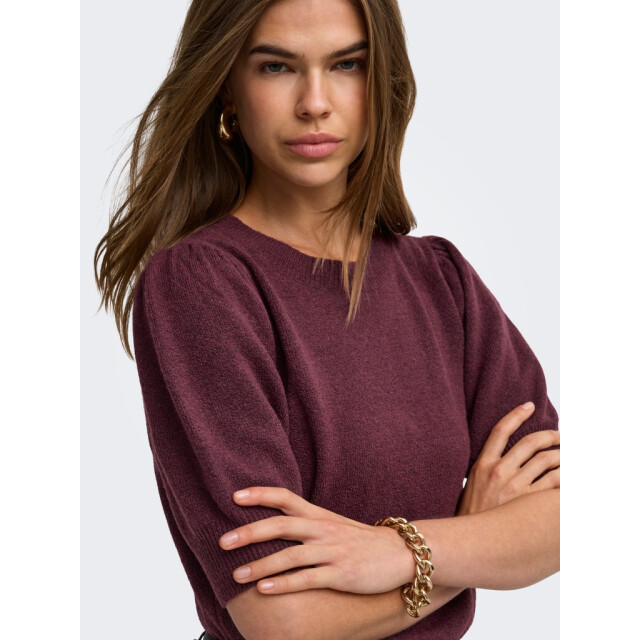Only Onlrica life 24 pullover knt noos bordeaux 4219.47.0017 large