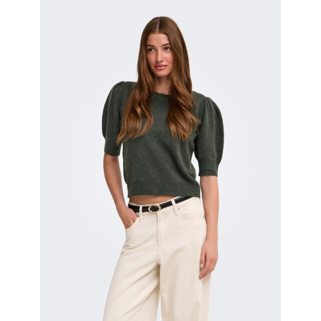 Only Onlrica life 24 pullover knt noos donker 4219.27.0003 large