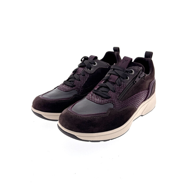 Xsensible 30215.3 Sneakers Bruin 30215.3 large