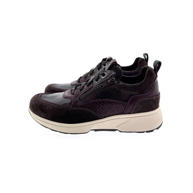 Xsensible 30215.3 Sneakers Bruin 30215.3 large