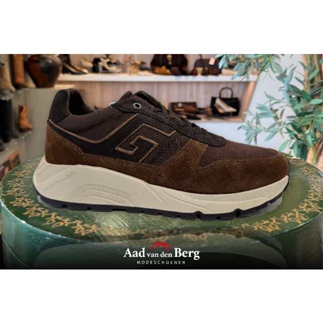 Greve Herenschoenen sneakers 7276.06-RF  Arnhem large