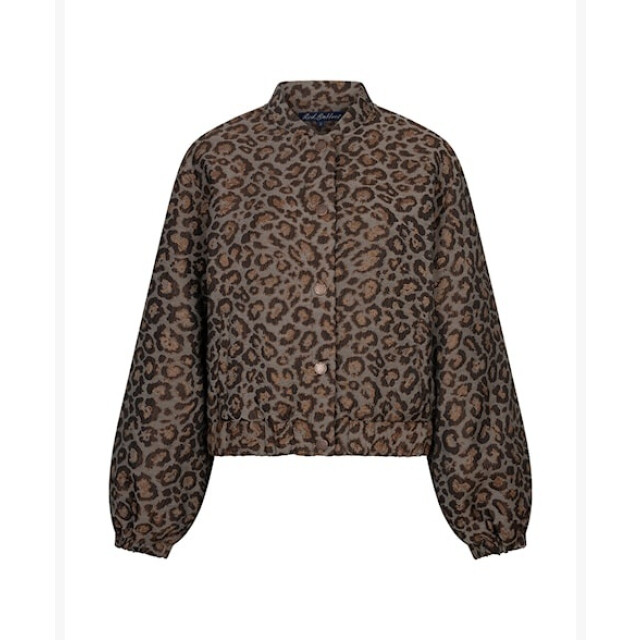 Red Button Bomber srb5149 jaquard grey brown SRB5149 Jaquard - Grey Brown large