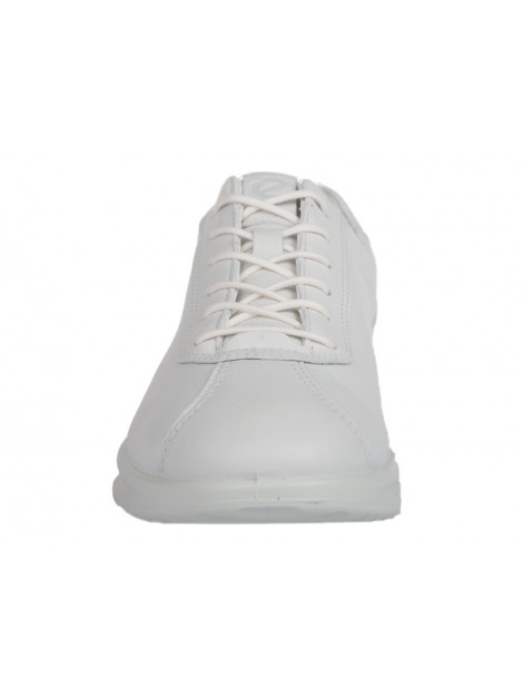 ecco 207113