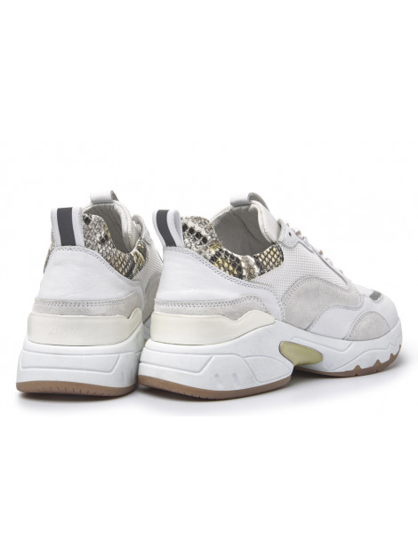 dragon heren beige