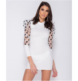 Parisian Sheer polka dot organza sleeve bodycon mini dress