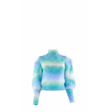 Ambika Multicolour trui