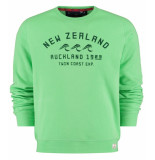 New Zealand Auckland Sweater fielding 505 calcite green