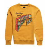 Superdry Sweater m2011469a