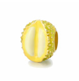 Mijn bedels Bedel durian fruit