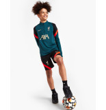 Nike liverpool fc strike big kids' socce -