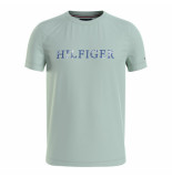 Tommy Hilfiger T-shirt 24571 lzv