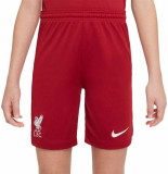 Nike Liverpool fc thuisbroekje 2022-2023 kids