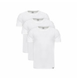 Dickies T-shirt man 3 pack dk621091whx