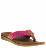 Reef Slippers coral