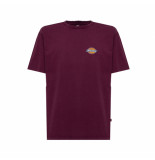 Dickies T-shirt man icon washed tee ss dk0a4y1rc95