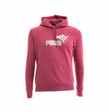Puma Ess+metallic spark hoodie