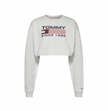 Tommy Hilfiger Sweatshirt vrouw tommy jeans tjw super crop modern ath crew dw0dw14801.pj4