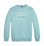 Tommy Hilfiger Sweatshirt kb0kb07960