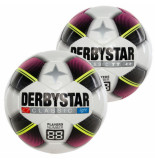 Derbystar Classic tt ladies