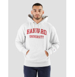 Champion Havard hoodie revere weave grey red 2218349