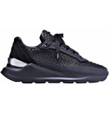 Benjamin Berner Hector runner python