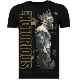 Local Fanatic Notorious king conor t-shirt