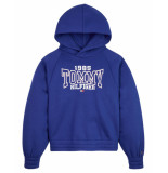 Tommy Hilfiger Hoodie kg0kg07373