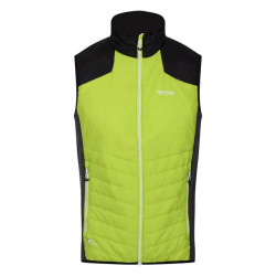Regatta Heren halton vi lichtgewicht body warmer