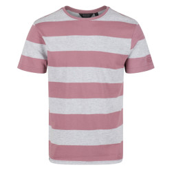 Regatta Heren brayden stripe t-shirt