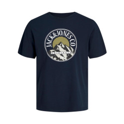 Jack & Jones Jorwalter tee