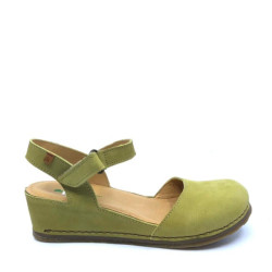 El Naturalista N5850