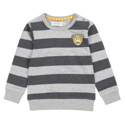 Dirkje Baby jongens sweater stripe tiger