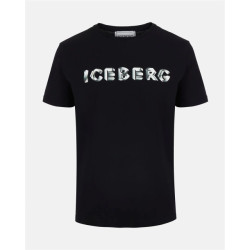 Iceberg 3d logo big branding