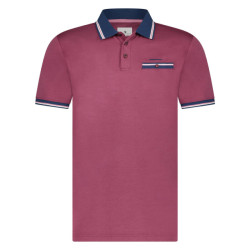 State of Art Polo 49114403
