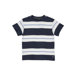 Levv Jongens t-shirt oversized kayden aop blue stripe