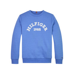Tommy Hilfiger 1985 sweater