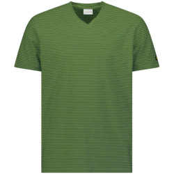 No Excess T-shirt korte mouw ronde hals met streep green
