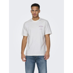 Only & Sons Onskye reg photo ss tee