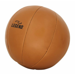 Legend Sports Medicine ball div. gewichten skintex