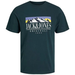 Jack & Jones Jorwalter tee