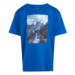 Regatta Kinderen/kinderen alvardo viii berg t-shirt