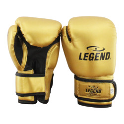 Legend Sports Kinder bokshandschoenen 1-5 jaar goud pu