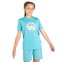 Dare2b Kinderen/kinderen rechtmatig flamingo gerecycled t-shirt