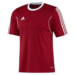 Adidas Squadra 13 shirt
